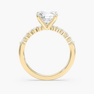 Round Cut Shared Prong Side Stone Engagement Ring