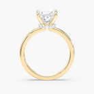 Princess Cut Shared Prong Side Stone Engagement Ring